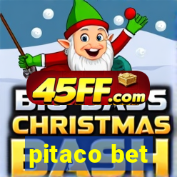 pitaco bet